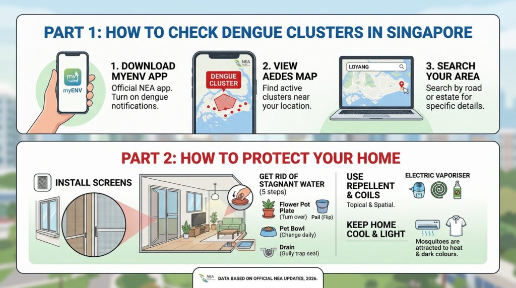 Dengue Cluster Singapore How to Check