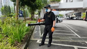 Pest Control Cost in Singapore 2026: The Complete Pricing Guide by Pest Type